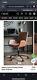 Faraday Swivel Office Chair In Brown